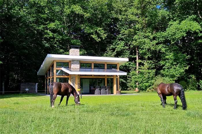 Vakantiehuis Het Ooievaarsnest met paarden